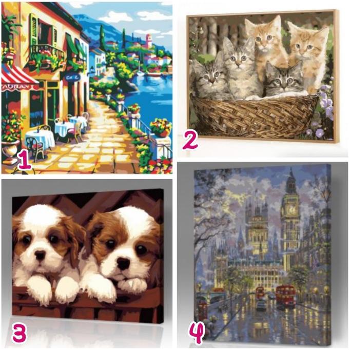 

painting by numbers / alat lukis / lukisan / mewarnai / gambar (40x50)