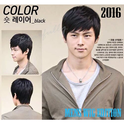 Terlaris Wig Wig Cowok (Import Korea)