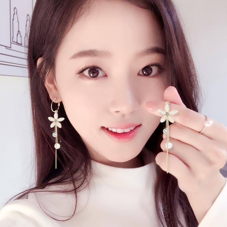 Terbaik Anting Korea Rumbai Panjang Aksen Bunga Tassel Panjang S925 Silver Needle Temperament Earrings Aw148 Wxs