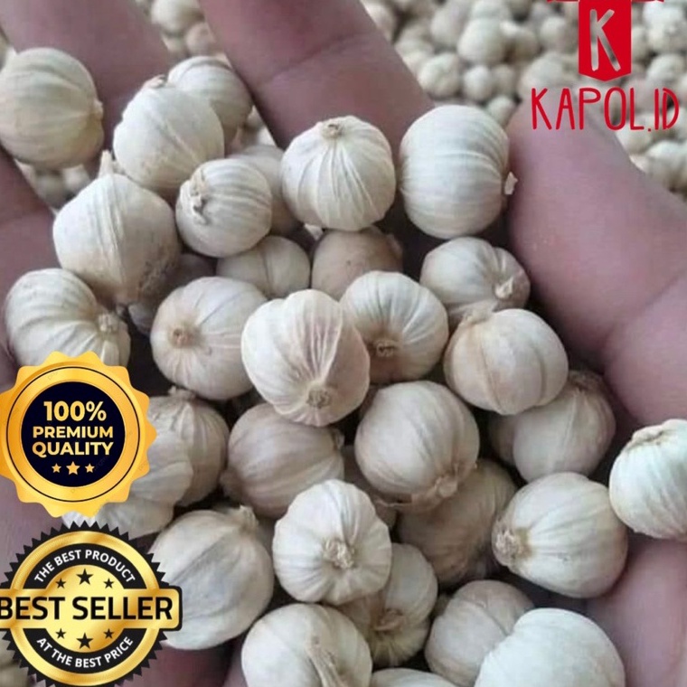 

Laris.. kapolaga 1kg TSH