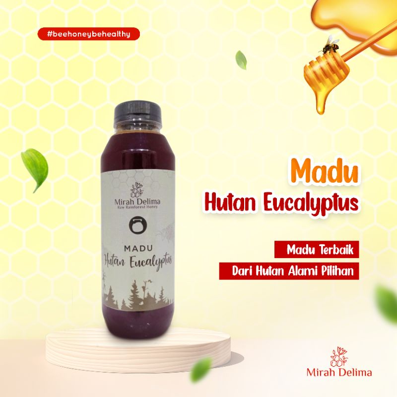 

Madu Hutan Eucalyptus - Raw Rainforest Honey - 500 ml