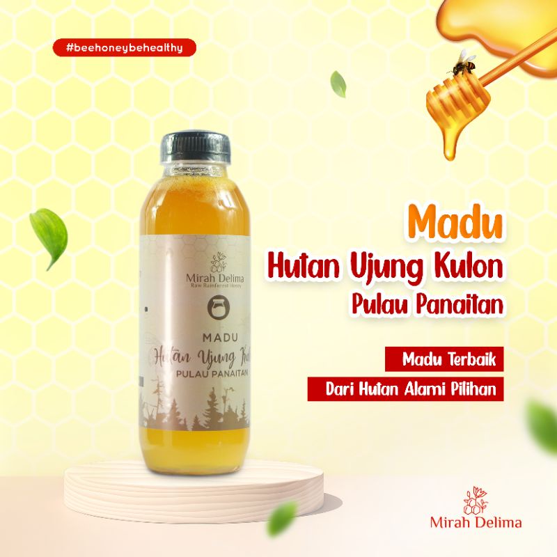 

Madu Hutan - Madu Odeng Ujung Kulon - Raw Rainforest Honey - 500 ml