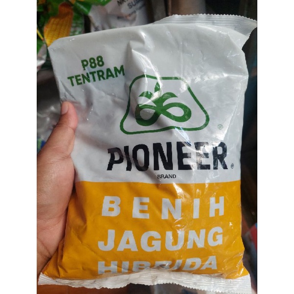 Benih Jagung Hibrida P88 Tentram 1kg