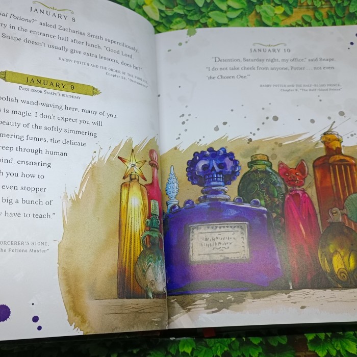 DISKON SPESIAL HARRY POTTER: A MAGICAL YEAR -- THE ILLUSTRATIONS OF JIM KAY TERBARU