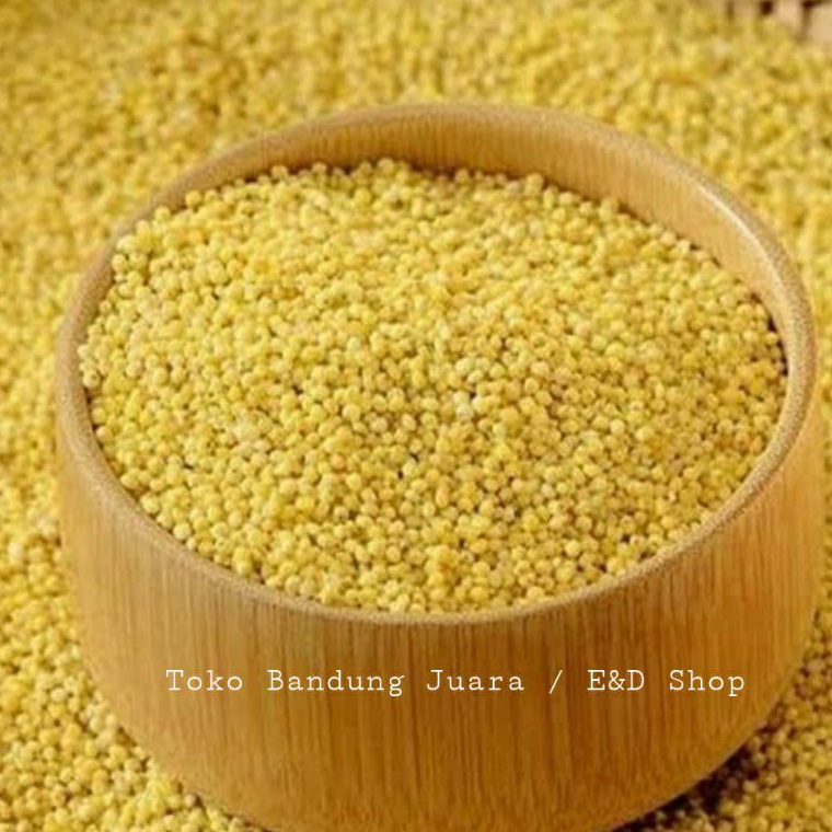 

Baru BIJI KUNYIT / BIJI JAWAK / JEWAWUT / SEKOI / FOXTAIL MILLET KEMASAN 1KG Q0S
