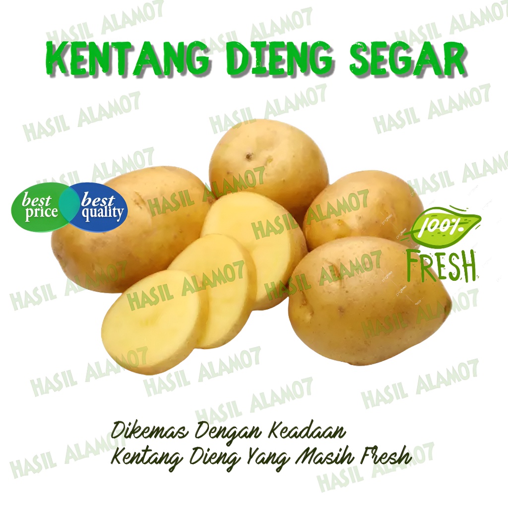 

Kentang Deing Potato Segar 1kg