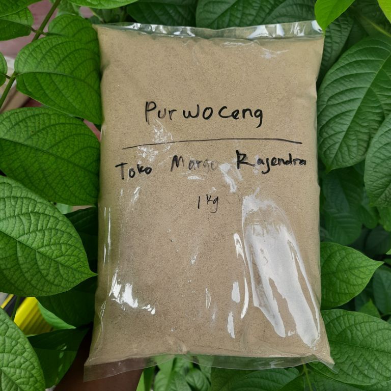 

Pasti Murah.. Serbuk Bubuk Akar Purwoceng Purwaceng Murni isi 1 Kg PS6