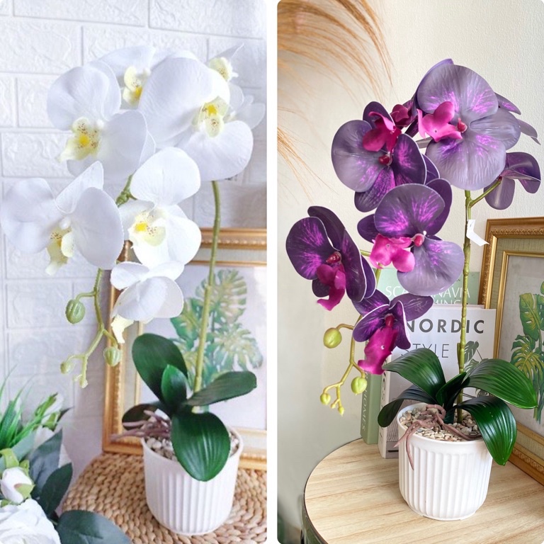 ✈ BUNGA Anggrek latex murah cabang 1 vas  Anggrek Latex Premium Jumbo Artificial Imitasi Pajangan Ru