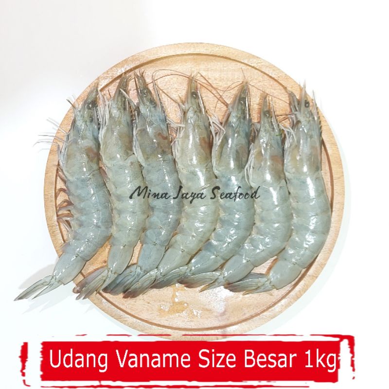 

Udang Vaname Size Besar 1KG
