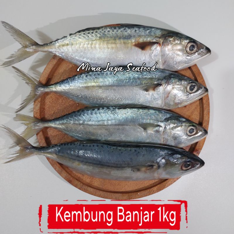 

Ikan Kembung Banjar 1KG / FREE SUDAH DIBERSIHKAN