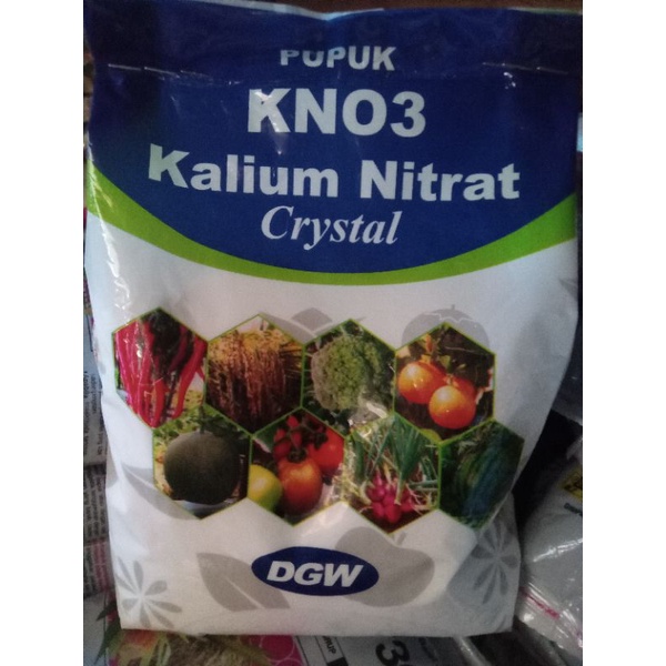 Kno3 Kalium nitrat