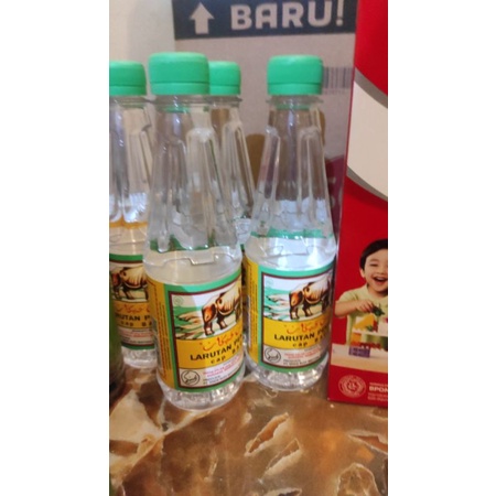 

LARUTAN CAP BADAK