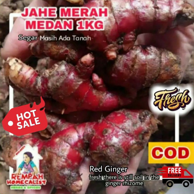 

Best Terlaris⁂➾ 99S0R Jahe Merah Medan 1kg Jahe Merah Segar Jahe Merah 1kg Masih Ada Sisa Tanah Rempah Herbal Wedang Jahe Segar B95 ➴Terbatas