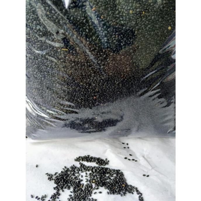 

Biji Selasih uk 1 Kg