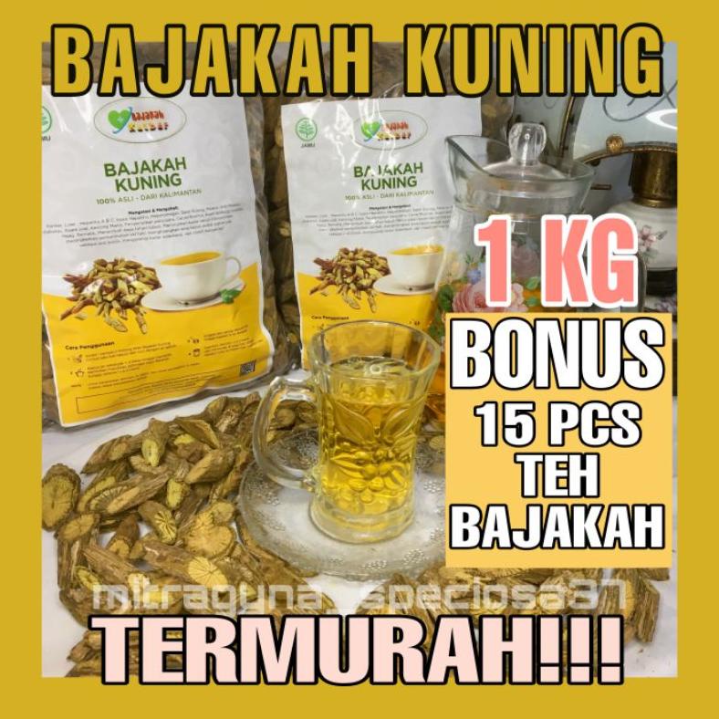 

Bayar Ditempat - Akar Bajakah Kuning 1Kg Kayu Asli Kalimantan Original !!