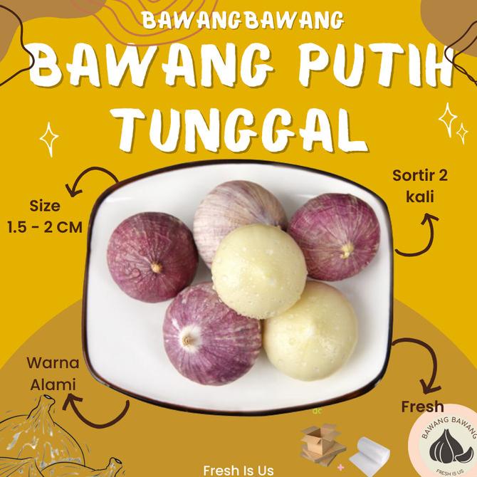 

Bawang Putih Tunggal Lanang Jamin Bagus 1Kg