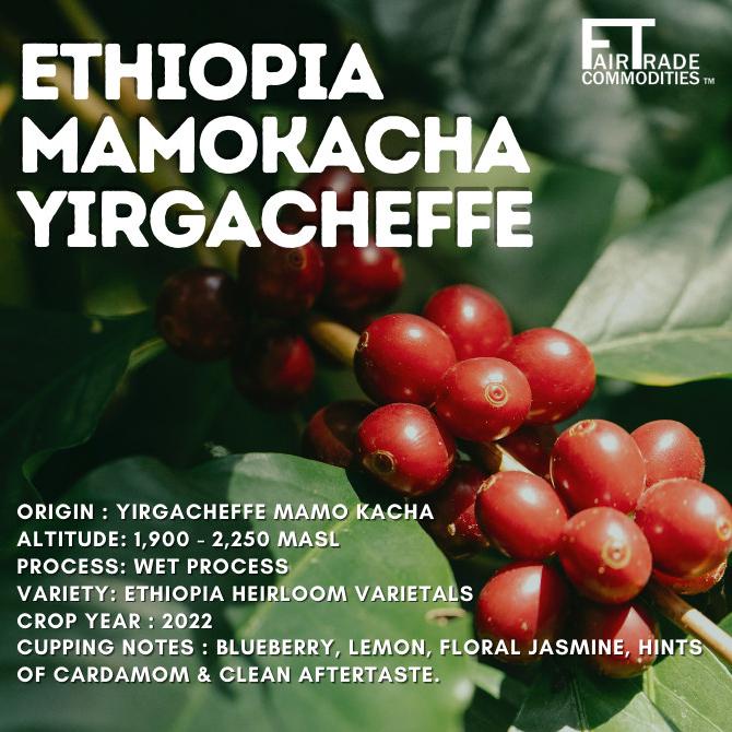 

Green Bean Ethiopia Mamokacha Yirgacheffe | Biji Kopi Mentah Arabica