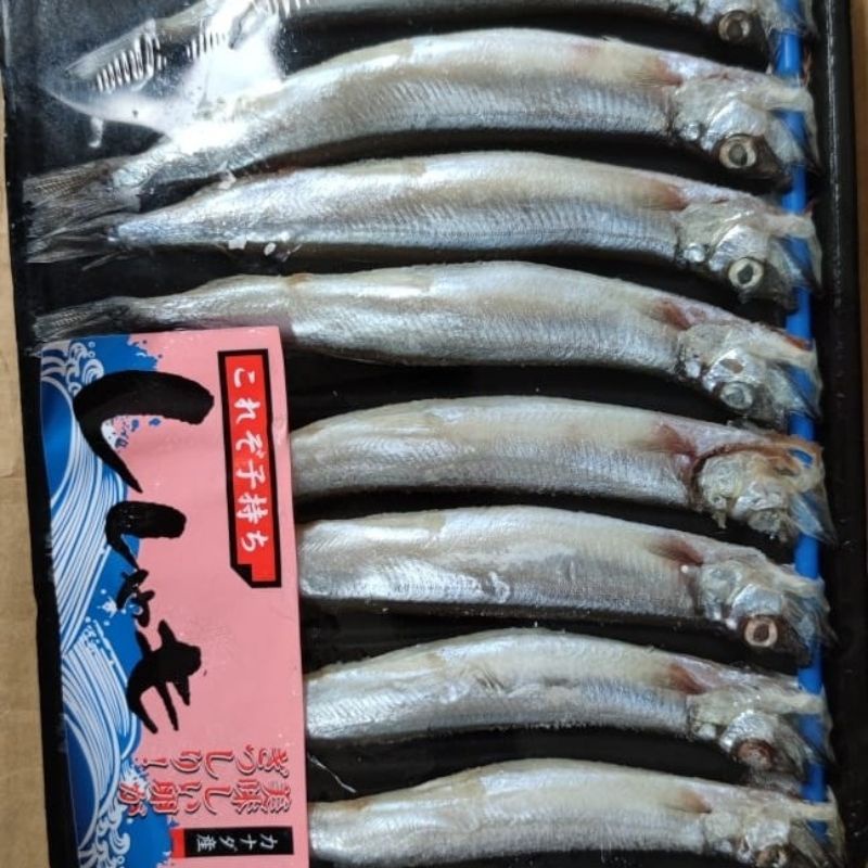 IKAN SHISAMO #IKAN CAPELIN IKAN TELUR ISI 8(150-170gr)/dalam kota instant