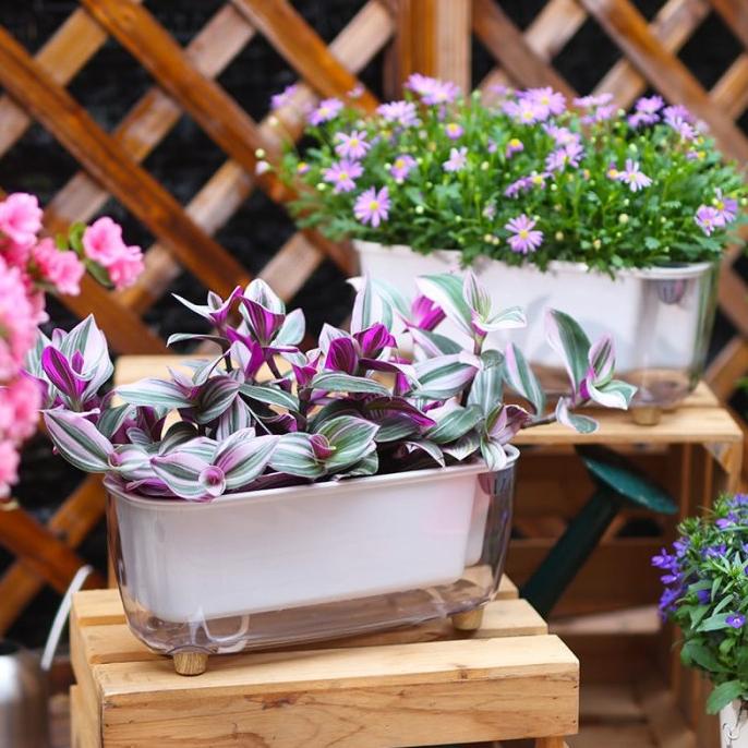 POT TANAMAN OTOMATIS - SELF WATERING POT - POT HIDROPONIK - OLZ - 211