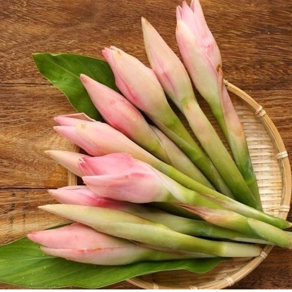 

100 gram Bunga kecombrang / bunga rombeh / bunga honje / segar