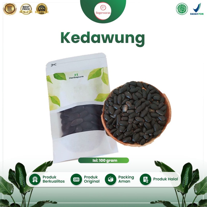 

☘️Segerwaras☘️ Biji Kedaung/ kedawung Kering Mencegah penyakit jantung