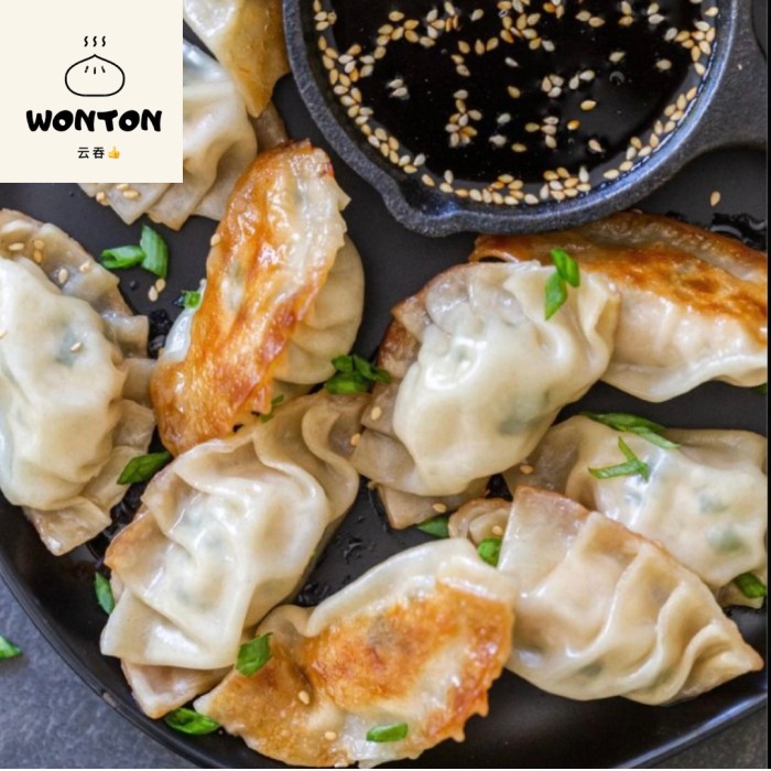 

Best Seller Homemade Gyoza Halal