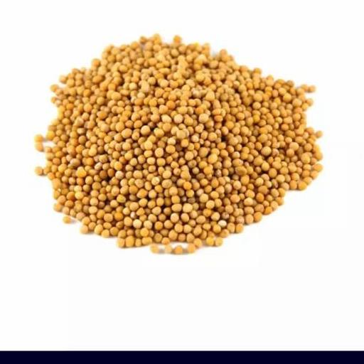

'+'+'+'+] YELLOW MUSTARD SEEDS / BIJI SAWI /1000 GRAM