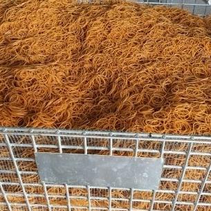 %%%%] KARET GELANG BESAR PENTIL 500 GRAM