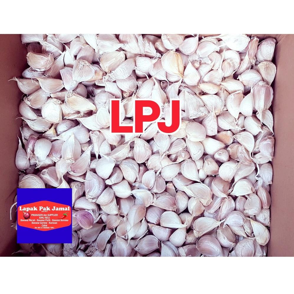 

Dijamin Ori>/ Bawang PUTIH KATING - 500 Gram - LPJ