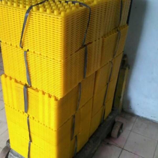 (♥C6369]  Egg tray / tempat telur puyuh plastik