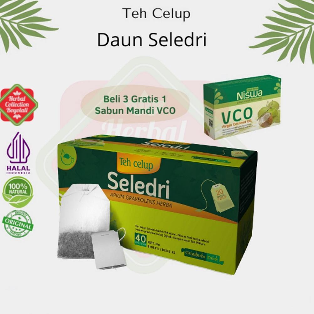 

Terbaru 3.3 Teh herbal daun seledri Griya Herba untuk Menurunkan tekanan darah tinggi aman alami untuk darah tinggi