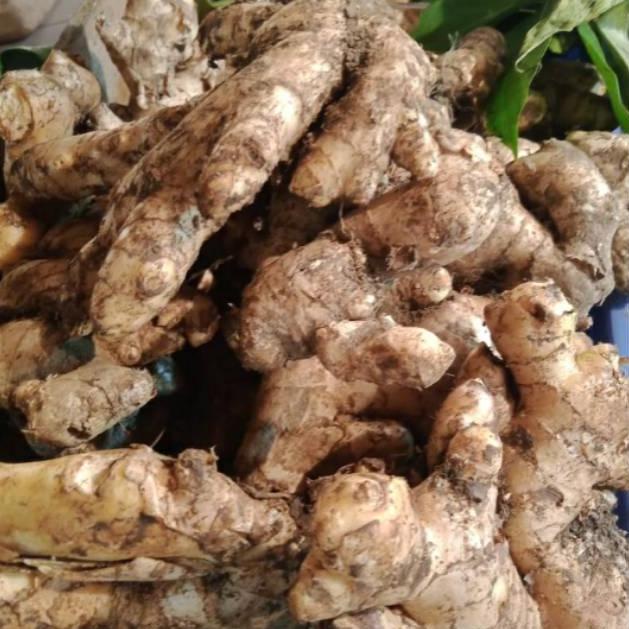 

5.5 COD Jahe 250 gram perpack