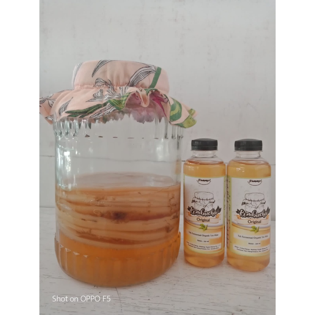 

Teh Fermentasi Original Teh Hijau (Kombucha)