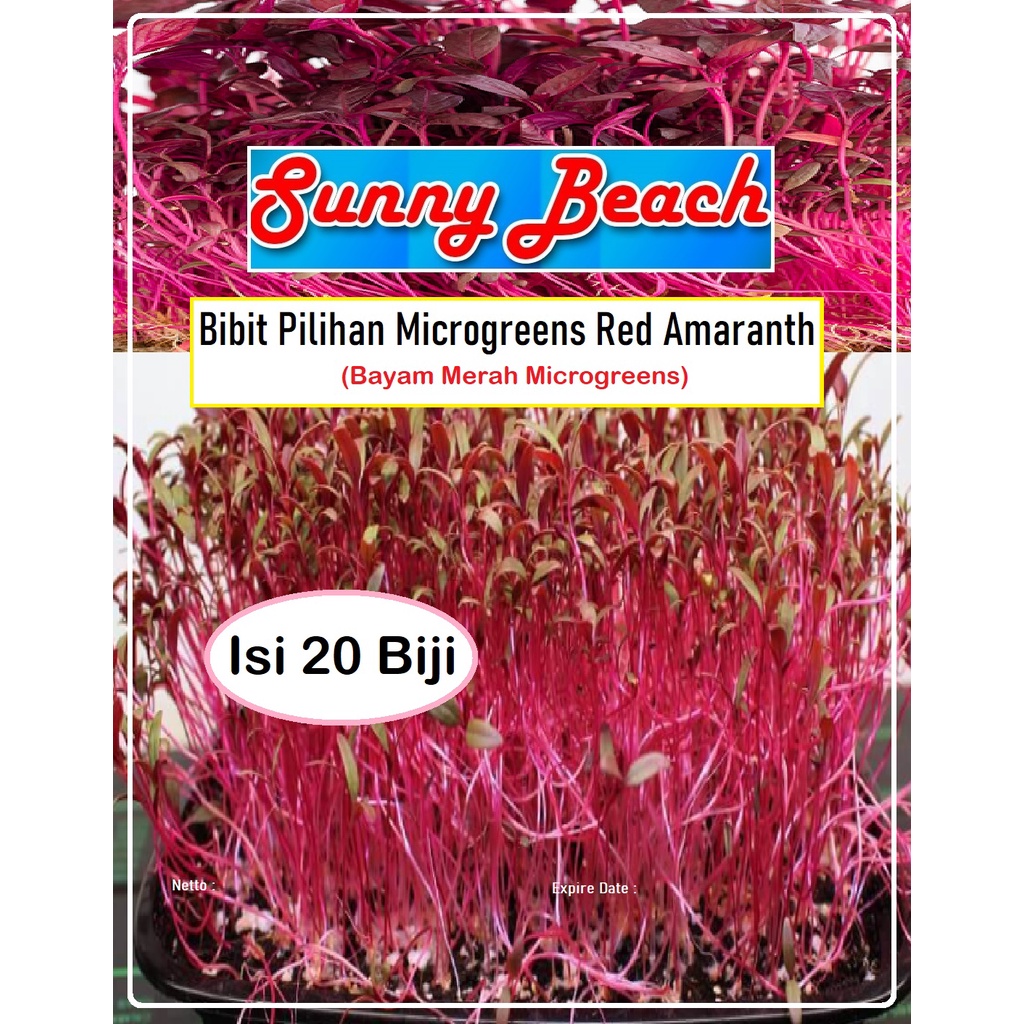 Bibit Pilihan Microgreens Red Amaranth Bayam Merah Microgreens| Biji Bibit Microgreens Red Amaranth