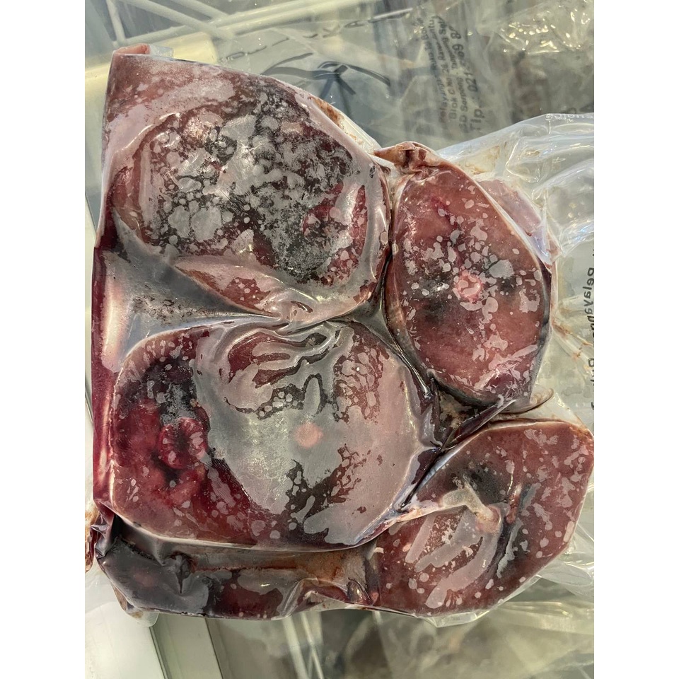 

TONGKOL JUMBO FRESH FROZEN