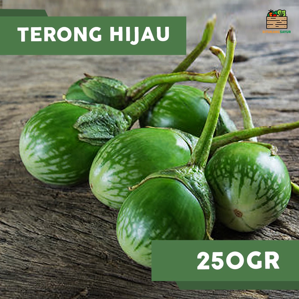 

Sayur Terong Hijau | 250gr (Kota Bandung & Sekitar)