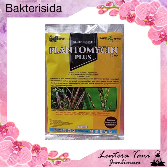 Bakterisida Plantomycin 100 gram Phantasos