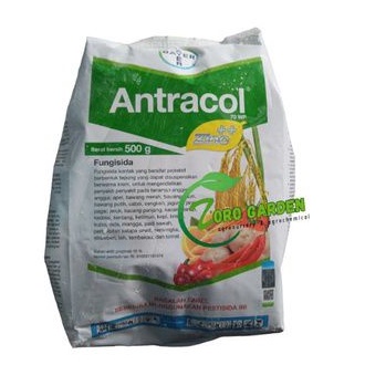ANTRACOL 500GR