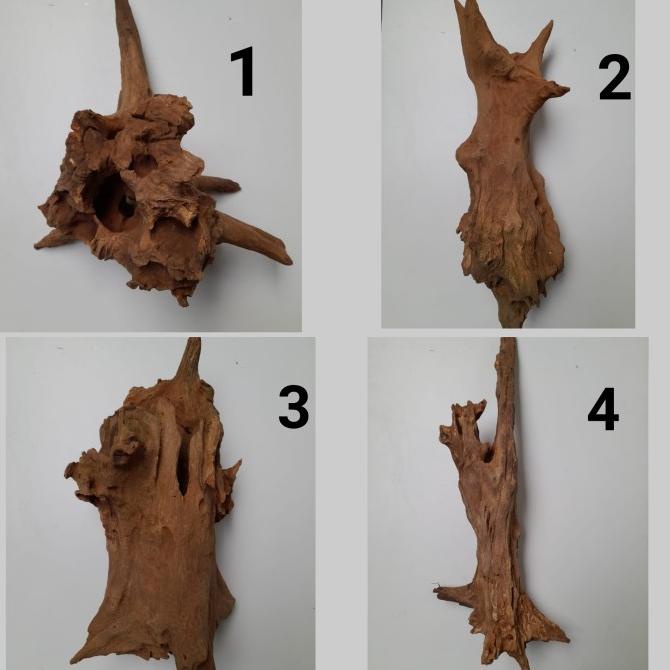 ] Kayu Fosil untuk Aquascape Aquarium