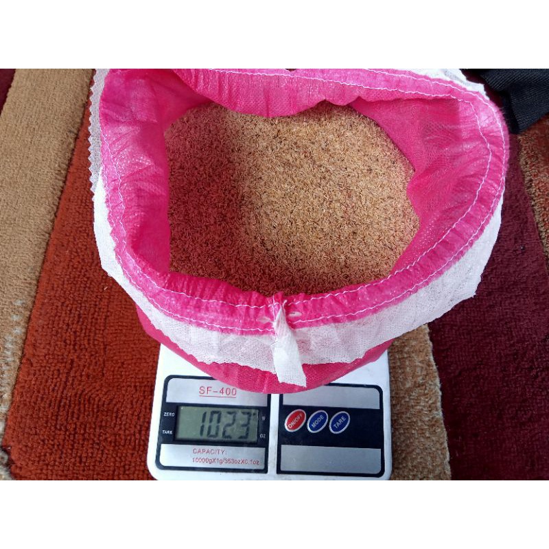 TJ (Telur Jangkrik) Muda, untuk umpan pancing 1000gram/1kg