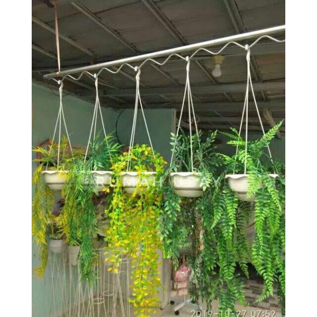 1 PAKET BUNGA KEMUNING + POT GANTUNG TALI / Bunga juntai / daun juntai bahan plastik - daun sulur julur shabb / Bunga juntai pot gantung / Daun gantung / Bunga gantung