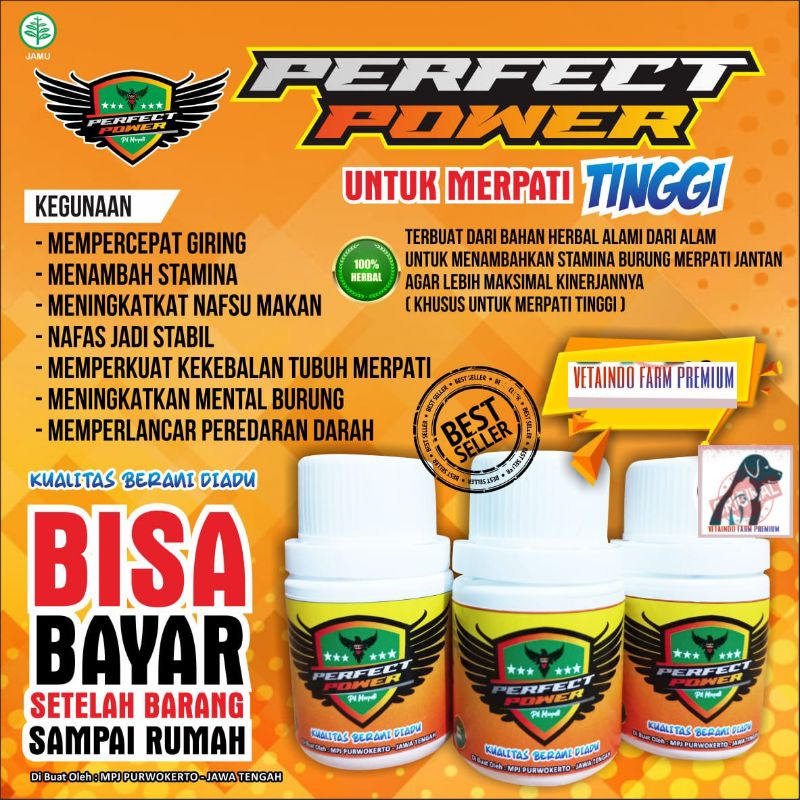 JAMU MERPATI TINGGI KOLONG PERFECT POWER BURUNG DARA TERBANG KENCENG