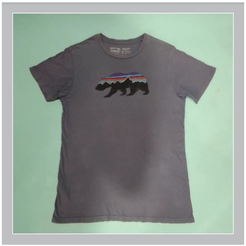 t-shirt Patagonia