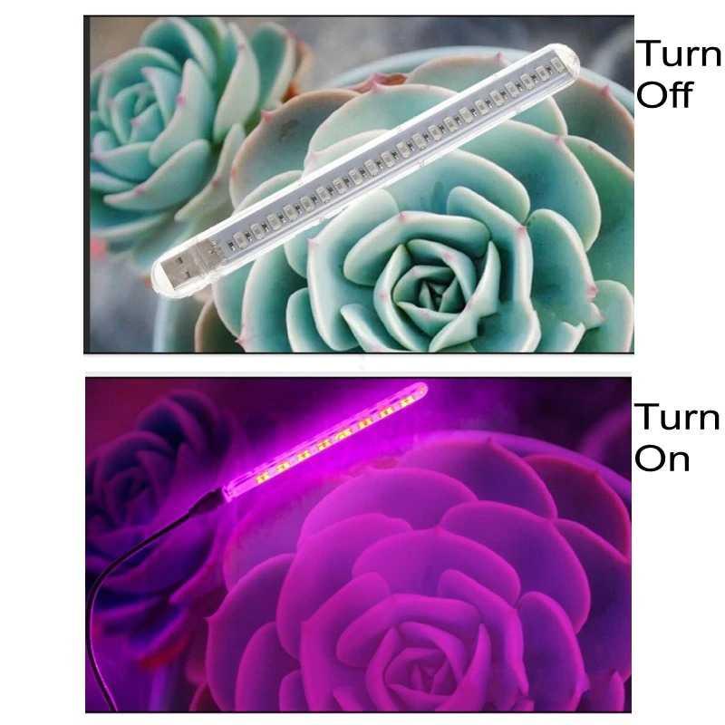 FENGLAIYI Lampu Cahaya Tanaman Grow Light LED Full Color Spectrum 10W FE02 Lampu Kamar Gaming Lampu Kamar Gaming Lampu Lid Lampu Lid Lampu Taman Lampu Outdoor Lampu Taman Lampu Outdoor Lampu Taman Tancap Lampu Taman Tancap Tanamu Tanamu Lampu Kamar Remot