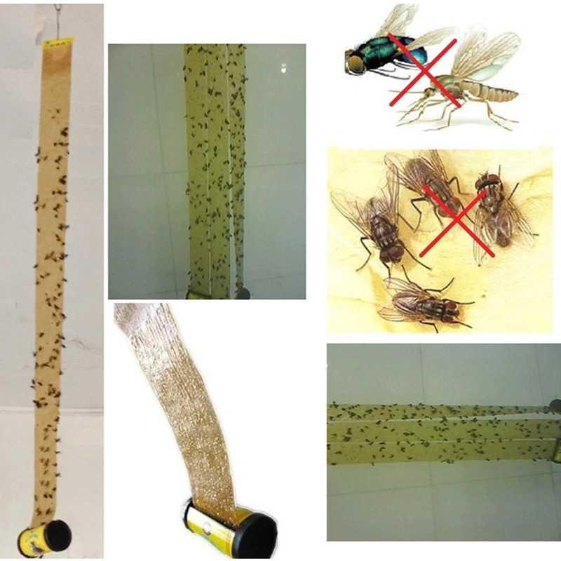 Hunters FLY Lem Perangkap Nyamuk Lalat Paper Strip Strong Glue 4 PCS HG1482 Rumput Kebar Rumput Kebar Tikar Rumput Tikar Rumput Rumput Rumputan Rumput Rumputan Bibit Rumput Odot Bibit Rumput Odot Gramaxone Gramaxone Cairan Pembasmi Tikus Cairan Pembasmi T