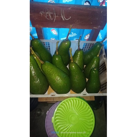 

alpukat jumbo paket 2kg