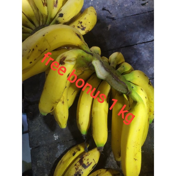 

pisang uli 1 sisir + gratis bonus