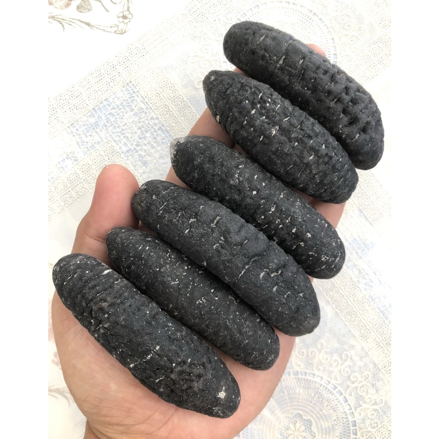 

teripang gosok haisom isi 15up/500gr