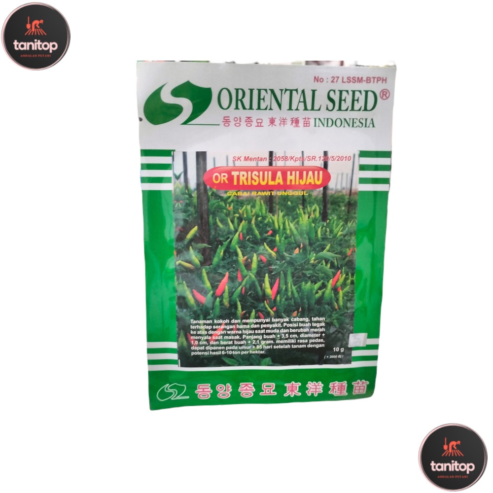 Benih Cabe Rawit Hijau Tegak Benih Trisula Hijau 10 Gram Kualitas TOP