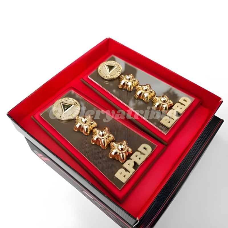 pangkat PDH BPBD golongan 4B Lis bordir